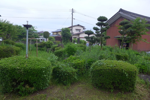 P1110914