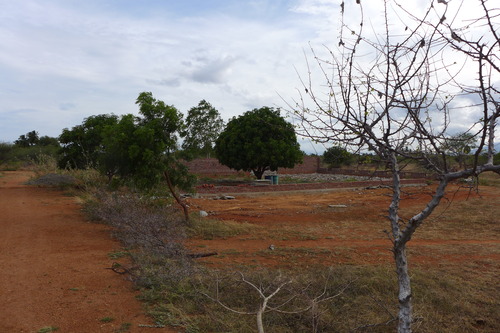 P1200126