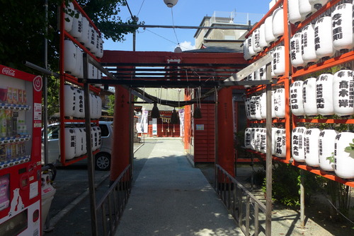 P1540788