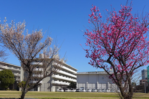 P1080350