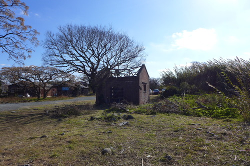 P1040601