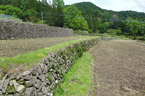 P1110235