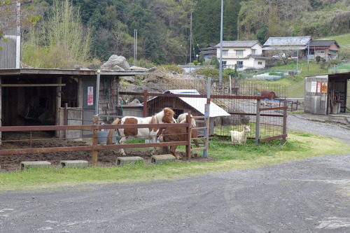 P1120925