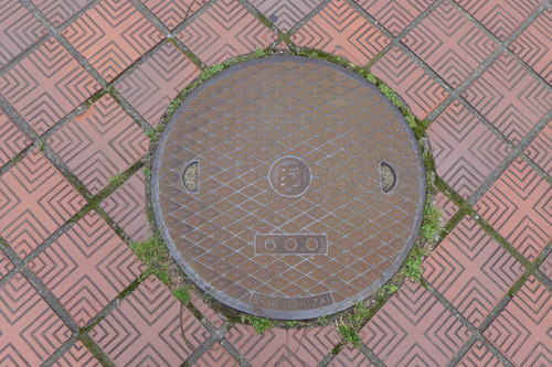 P1160895