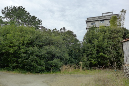 P1160823