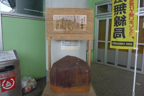 P1130753