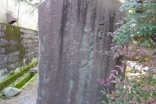 P1150153