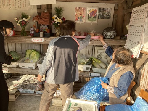 20260120国東市国東町国道沿い小原地区「百円ショップ」は模範運転手を含むおばあちゃん達持ち寄り新鮮野菜に溢れている！