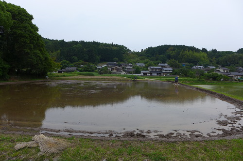 P1100904