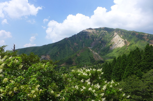 P1200945