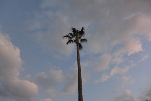 P1040493