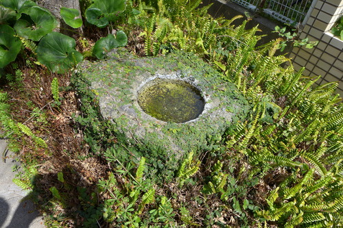 P1060051