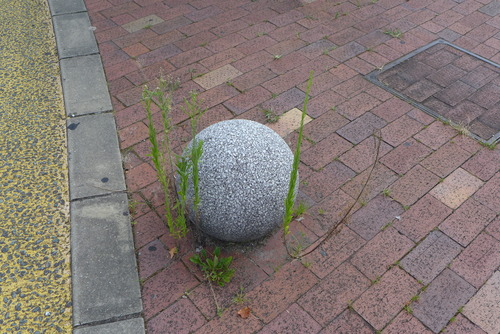 P1070666