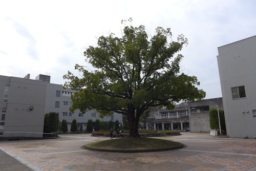 P1150387