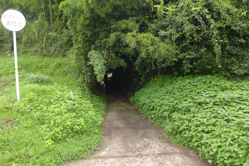 P1300518