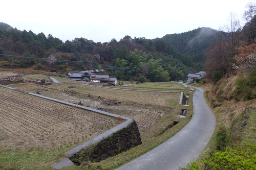 P1100126