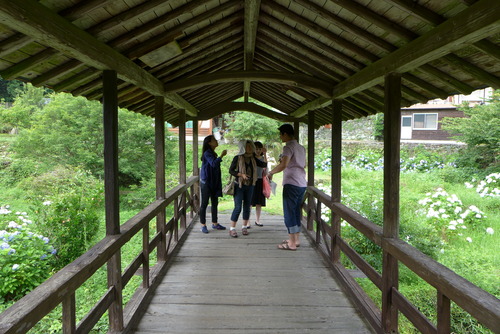 P1090215 のコピー