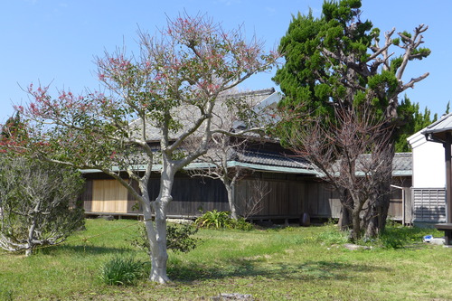 P1060102