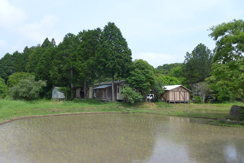 P1110433