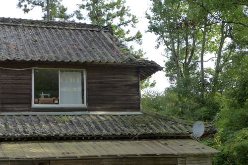 P1160128
