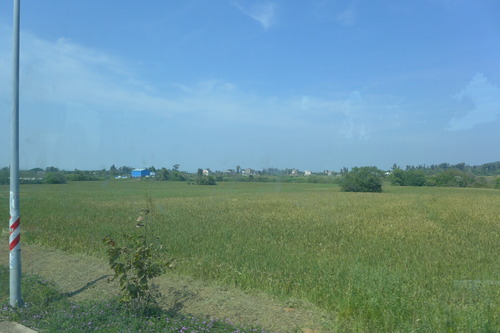 P1430113