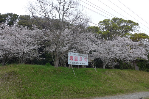 P1100368