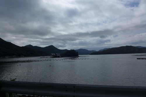 菊池恵楓園絵画クラブ金陽会作品調査、天草西海岸へ訪ね歩く