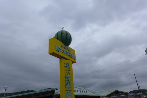 熊本市の植木町は植木スイカ名産地！