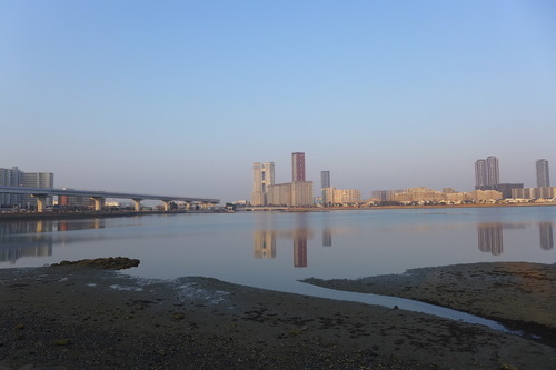 20250121早春の香椎浜