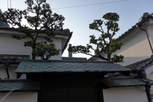 P1150238