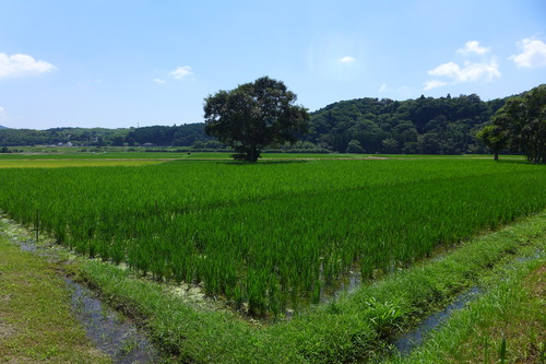 P1200605