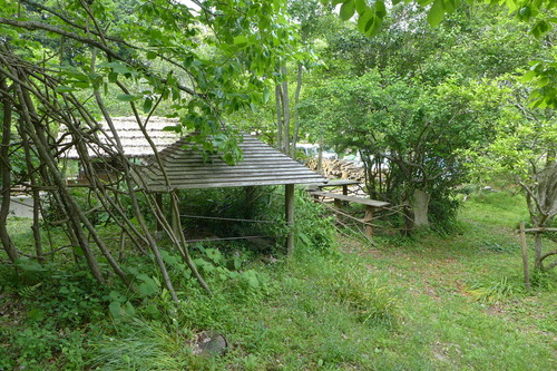 P1120895