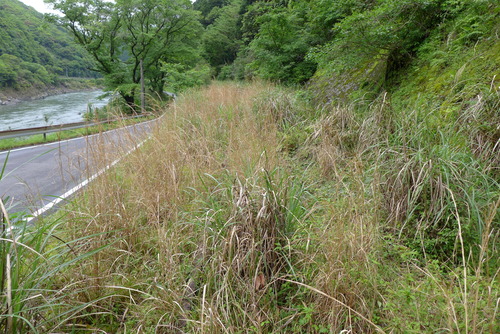 P1520479