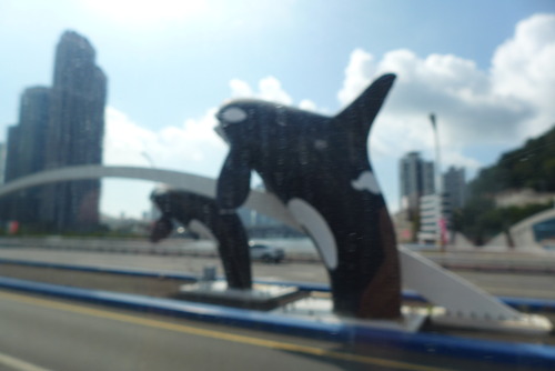 P1550804