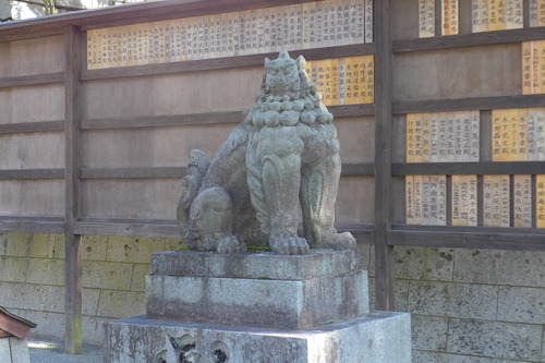 P1550415