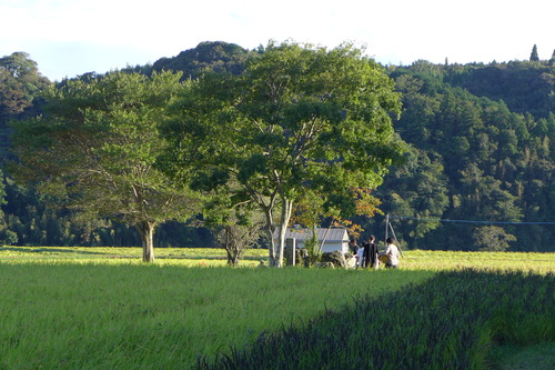 P1180257