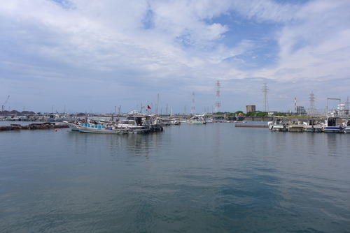 P1560689