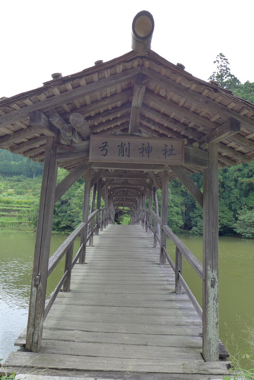 P1090235 のコピー