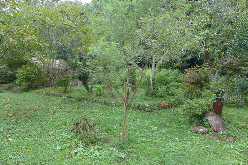 P1220696