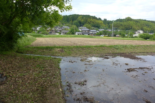 P1120879