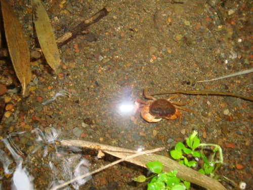 DSC09919