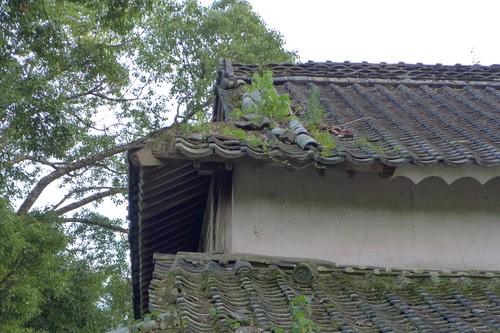 P1170152