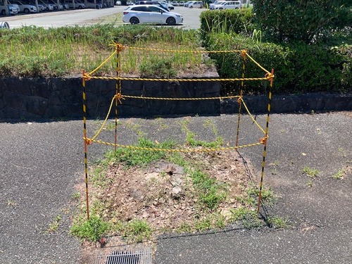 20260629菊池市御所通りフラヌール、神籬に溢れた不思議なまち光景！