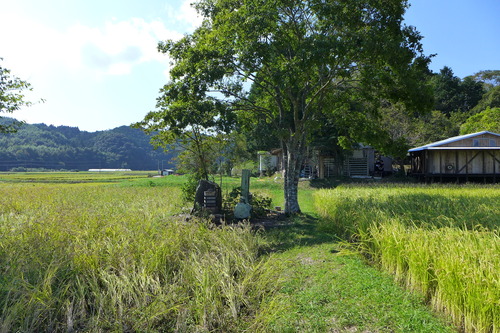 P1180955