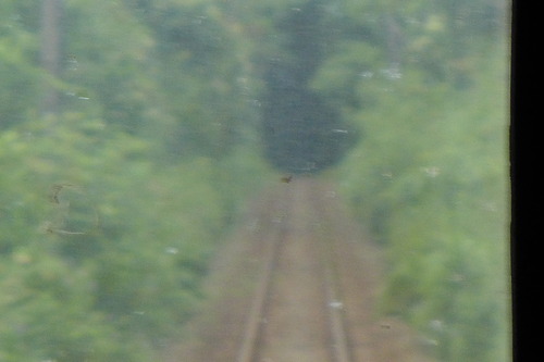 P1300231