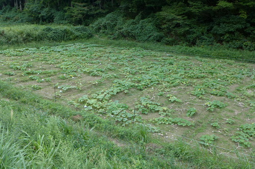 P1210088