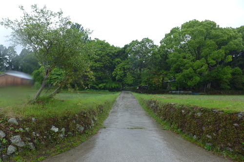 P1070853