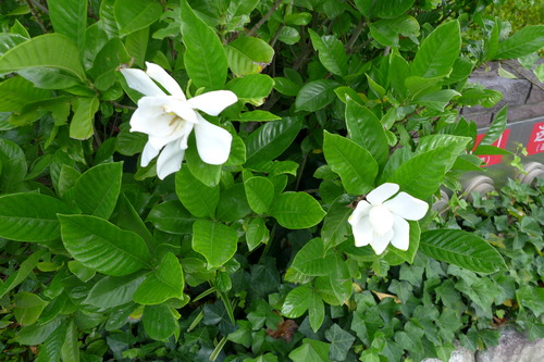 P1100616