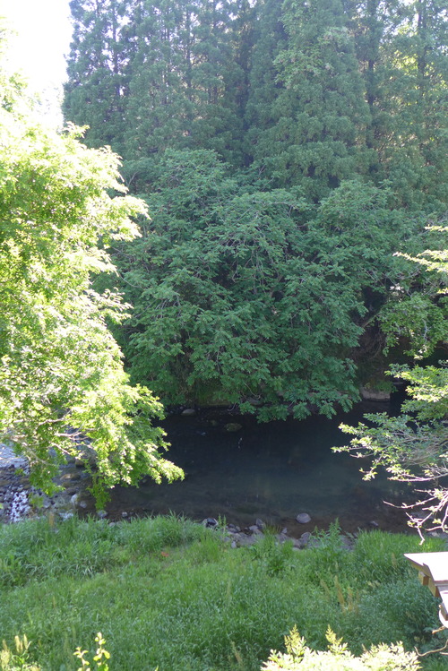 P1530278