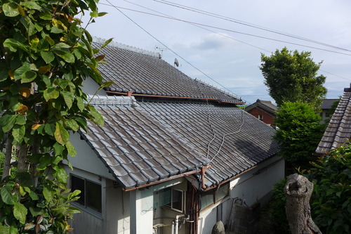 P1130636